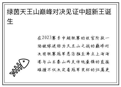 绿茵天王山巅峰对决见证中超新王诞生